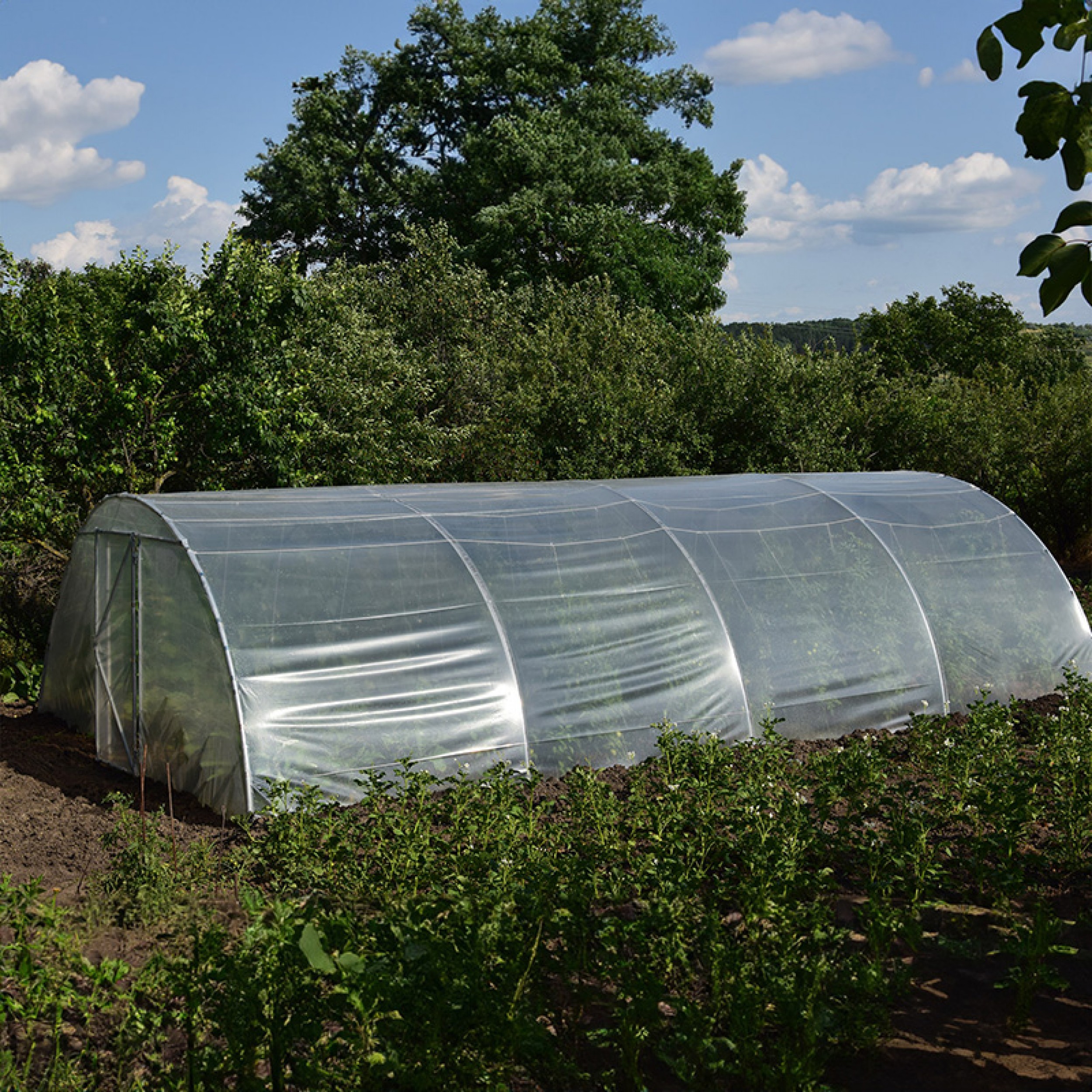 Профессиональная теплица Demetra Italia, 36 м² (8 × 4,5 × 2,5 м)