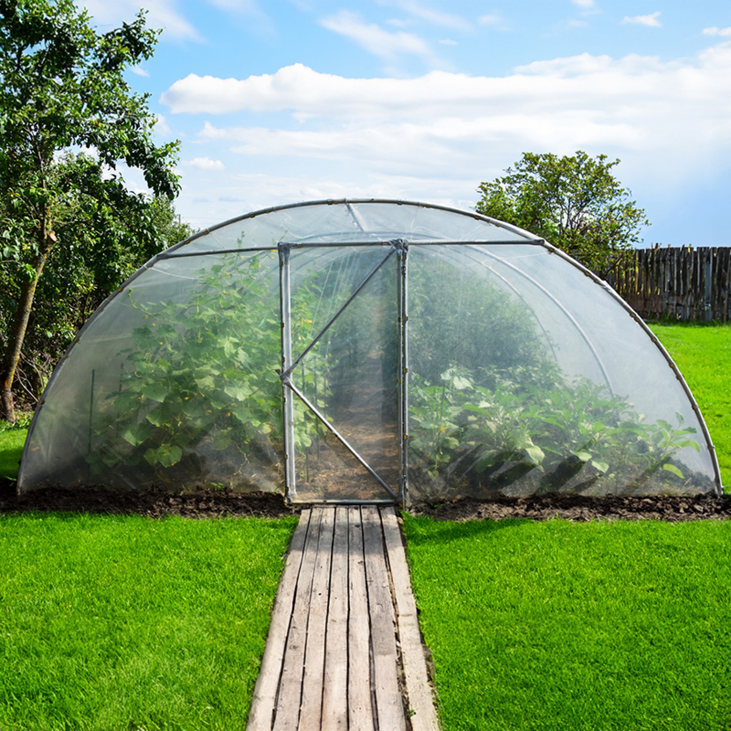 Seră de grădină profesională Demetra Italia, 18m2, 4-4.5-2.5m