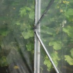 Seră de grădină profesională Demetra Italia, 18m2, 4-4.5-2.5m