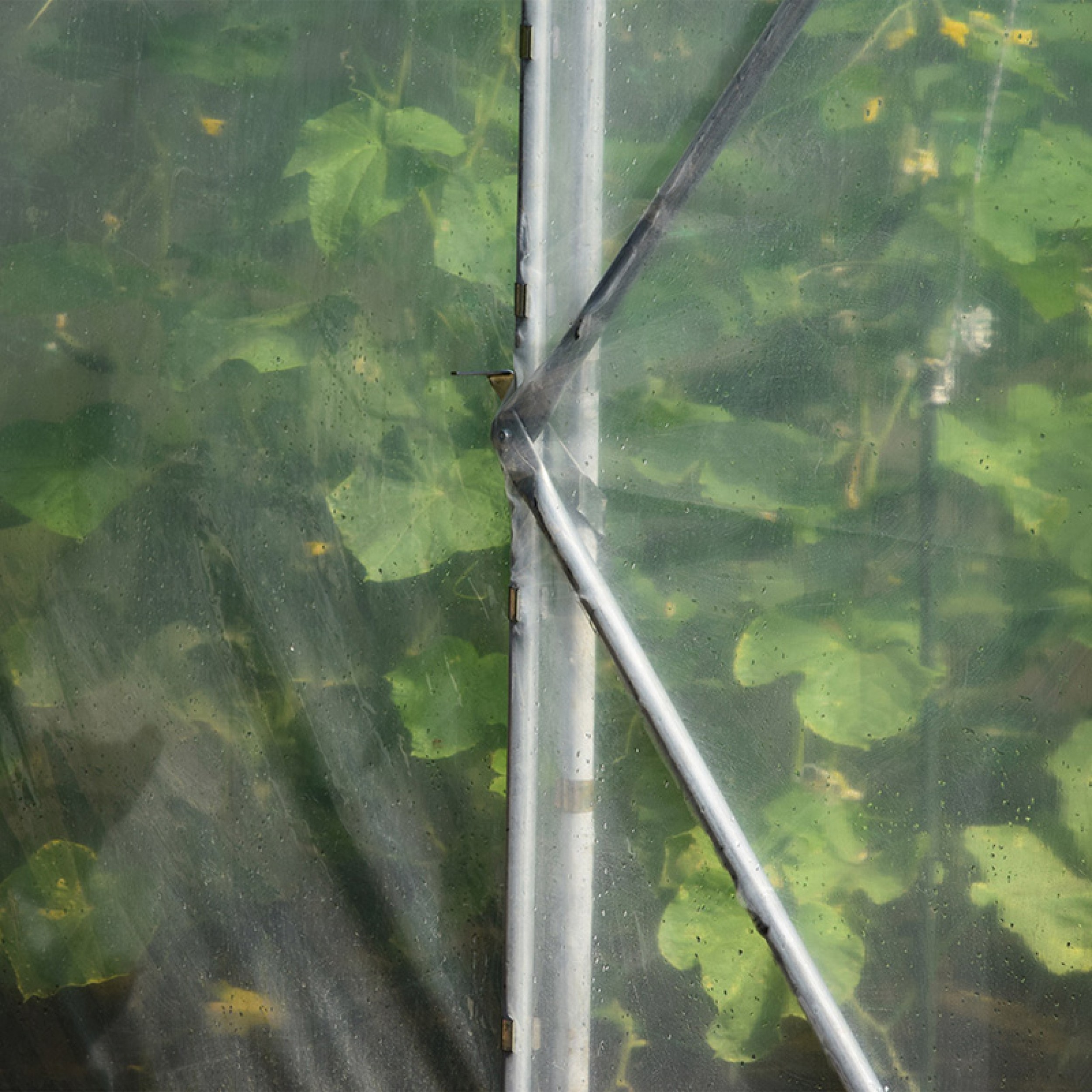 Seră de grădină profesională Demetra Italia, 18m2, 4-4.5-2.5m