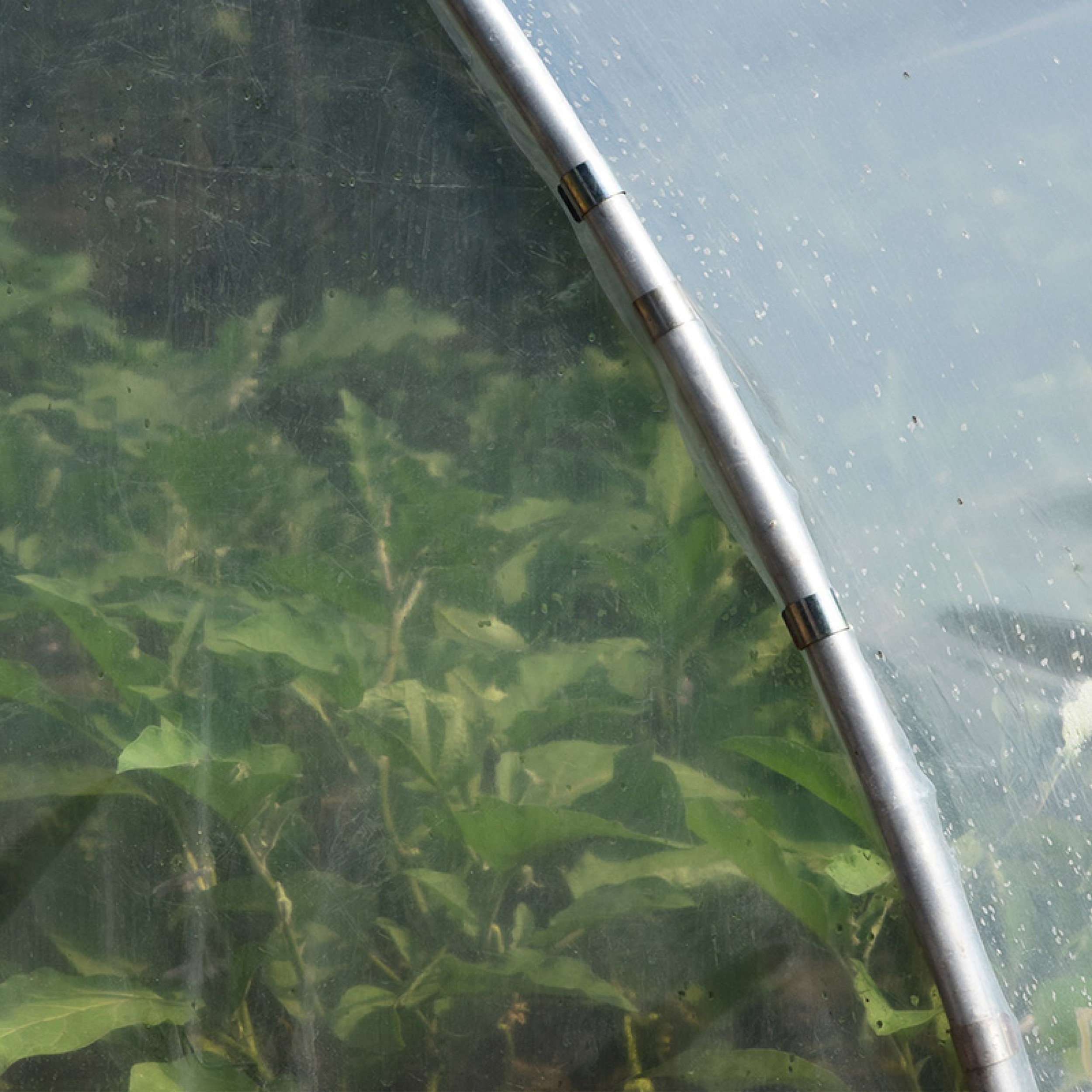 Seră de grădină profesională Demetra Italia, 18m2, 4-4.5-2.5m