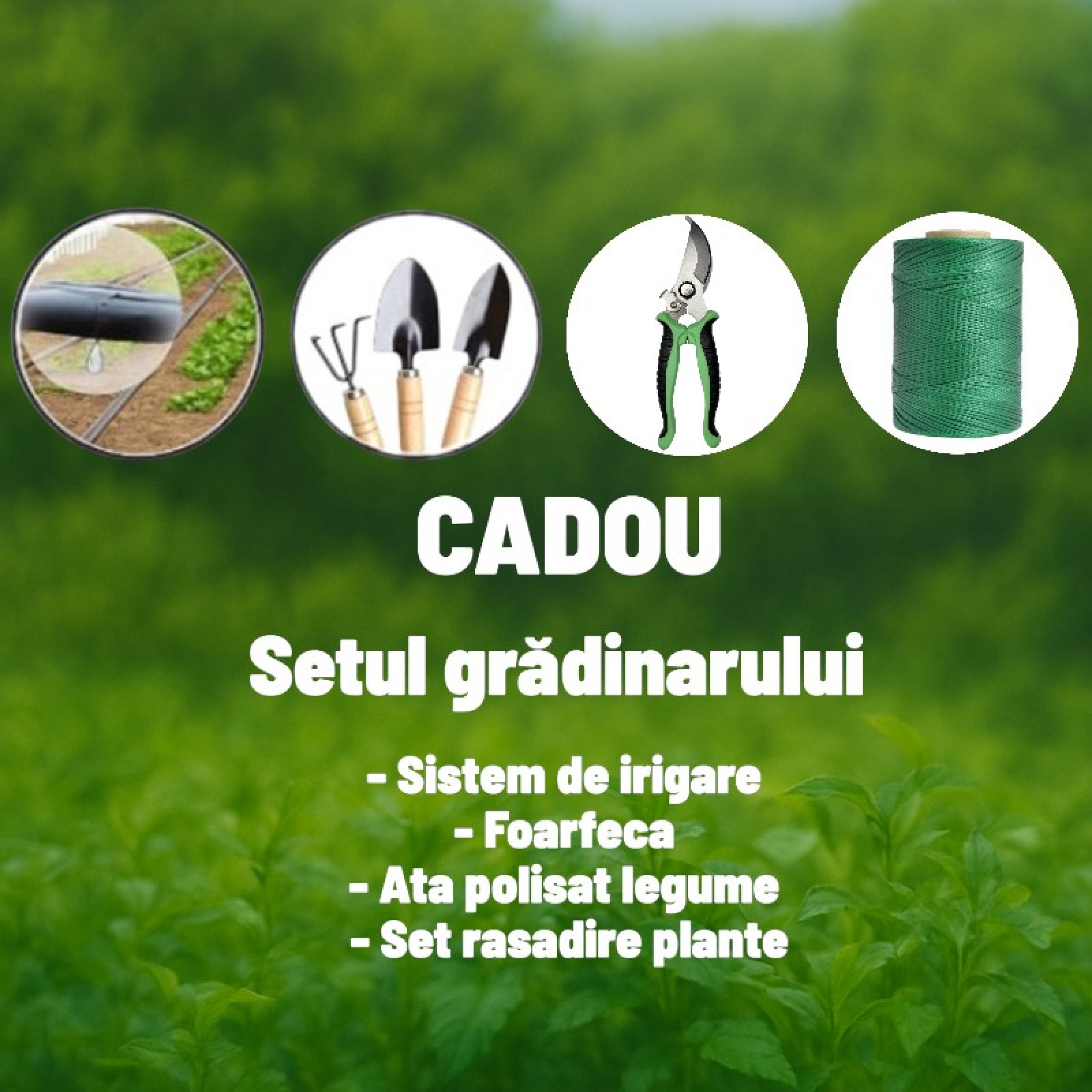Seră pentru grădină Demetra 10 × 3 × 2 m