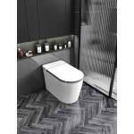 Vas WC iSink Inteligent, Alb (1305986)