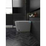 Vas WC iSink Inteligent, Alb (1305986)